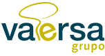 logo vaersa